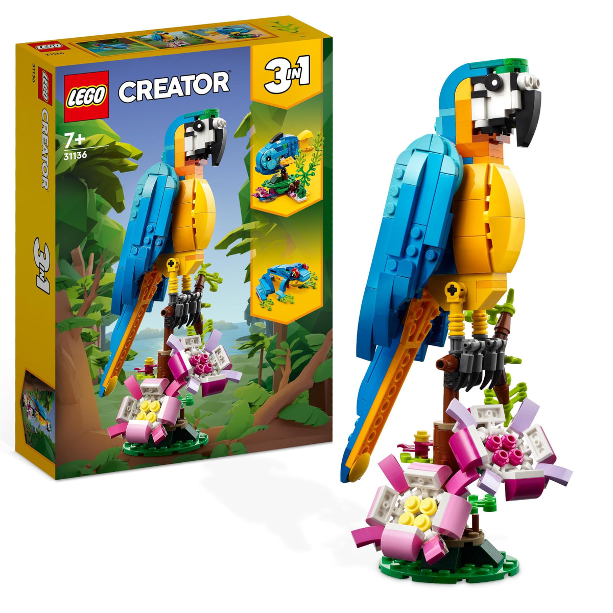 3 in 1 Parrot Creator Set